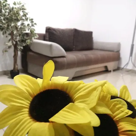 Apartment Apartament Old Town Tomis *