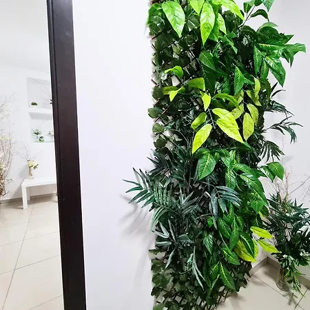 Apartament Old Town Tomis Apartment Constanta